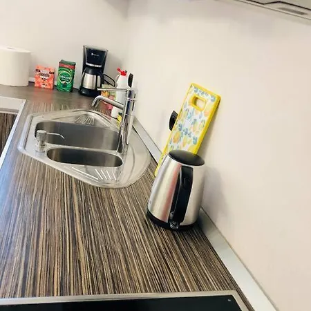 Joy George Enescu 12 * Timişoara