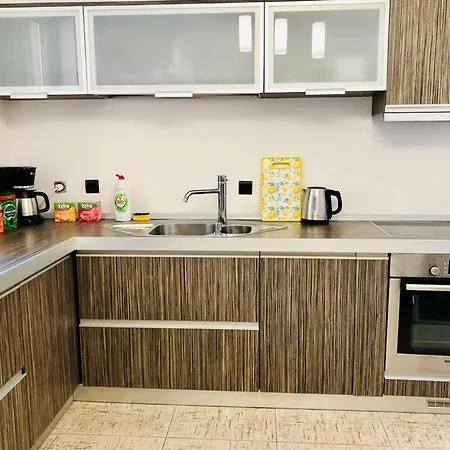 Apartament Joy George Enescu 12 Timişoara