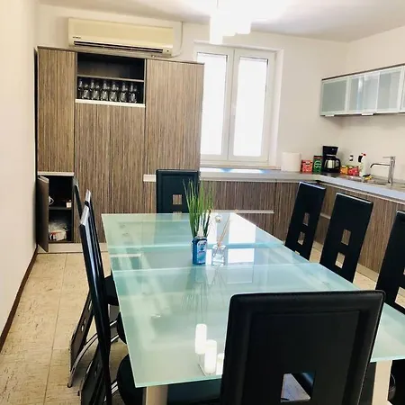 Joy George Enescu 12 *