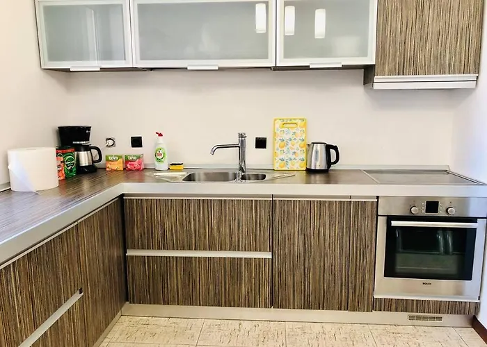 Apartment Joy George Enescu 12 Timisoara