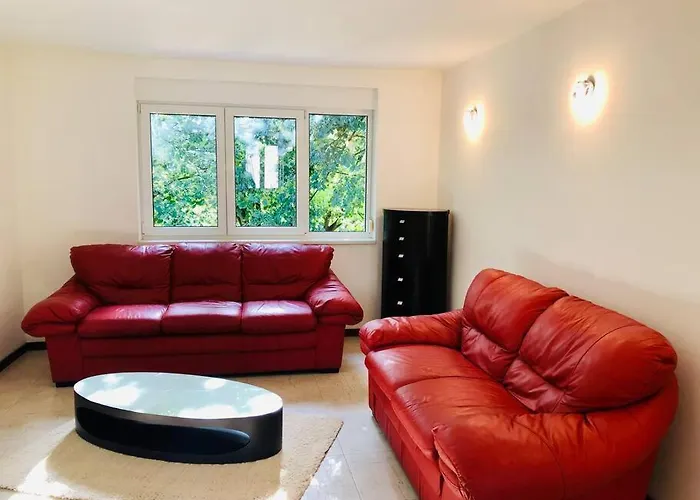 Joy George Enescu 12 Apartment