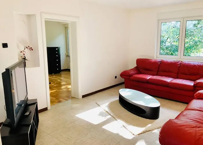 Joy George Enescu 12 Timişoara