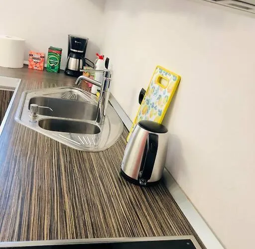 Joy George Enescu 12 * Timişoara